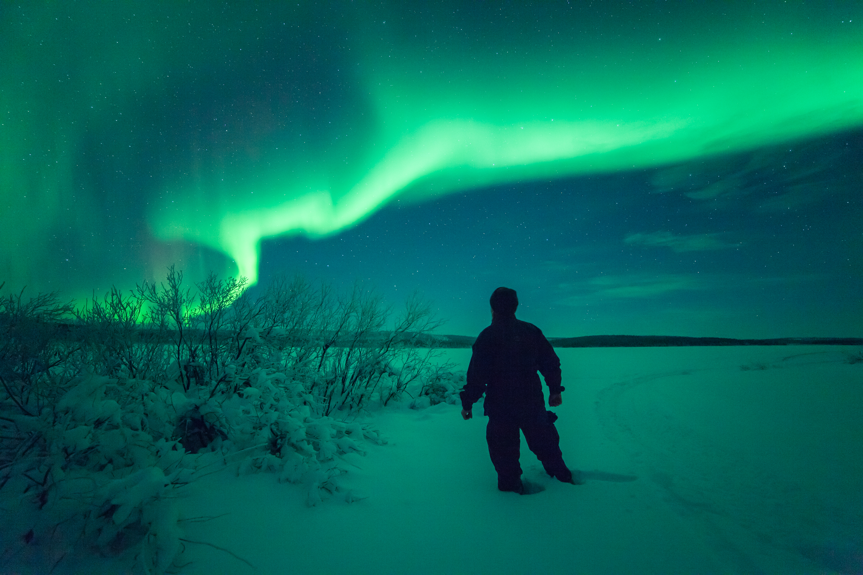 Finnland Levi Schneeschuhwanderung visitfinnland