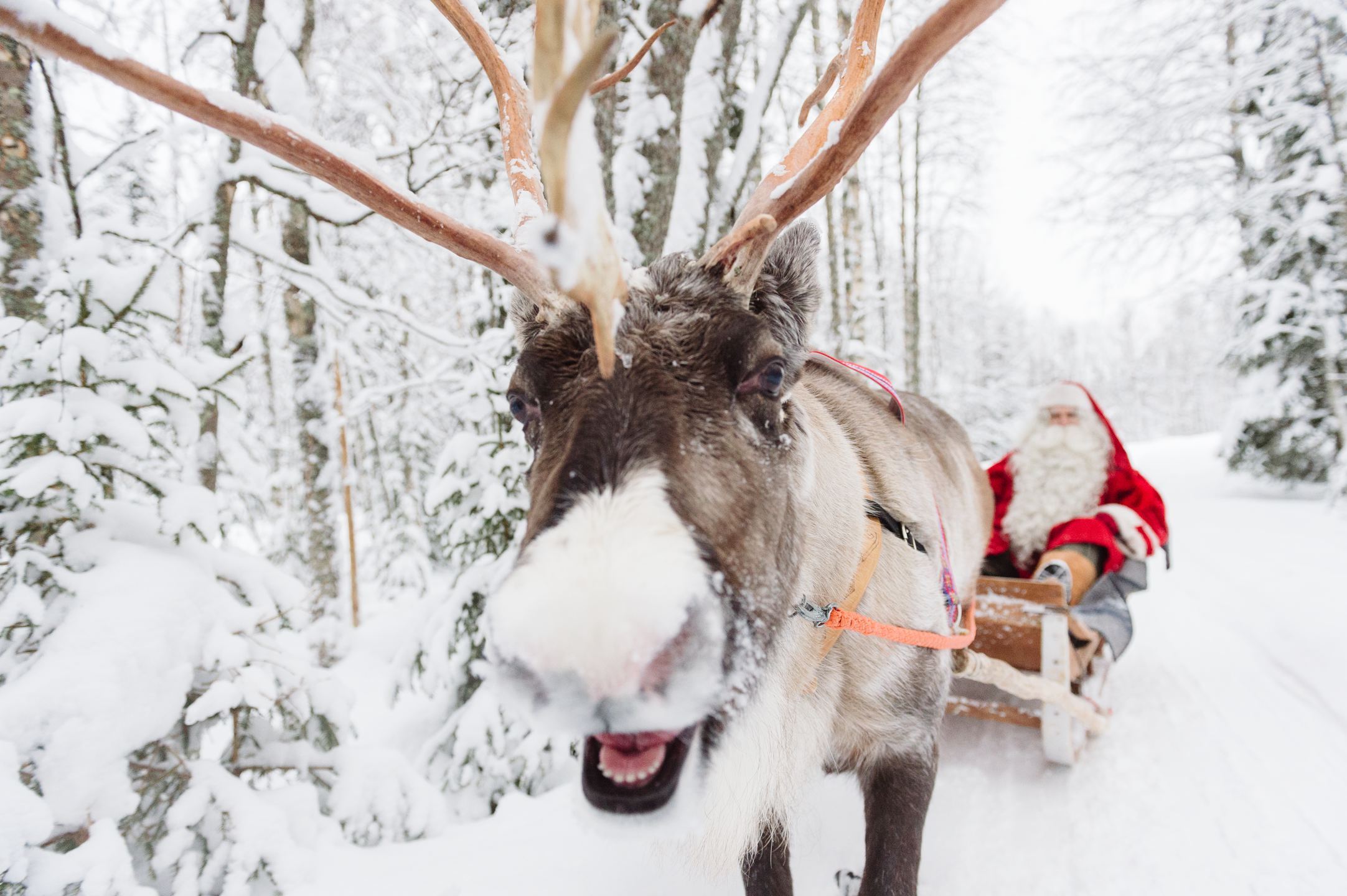 Rovaniemi Santa Claus Village 03