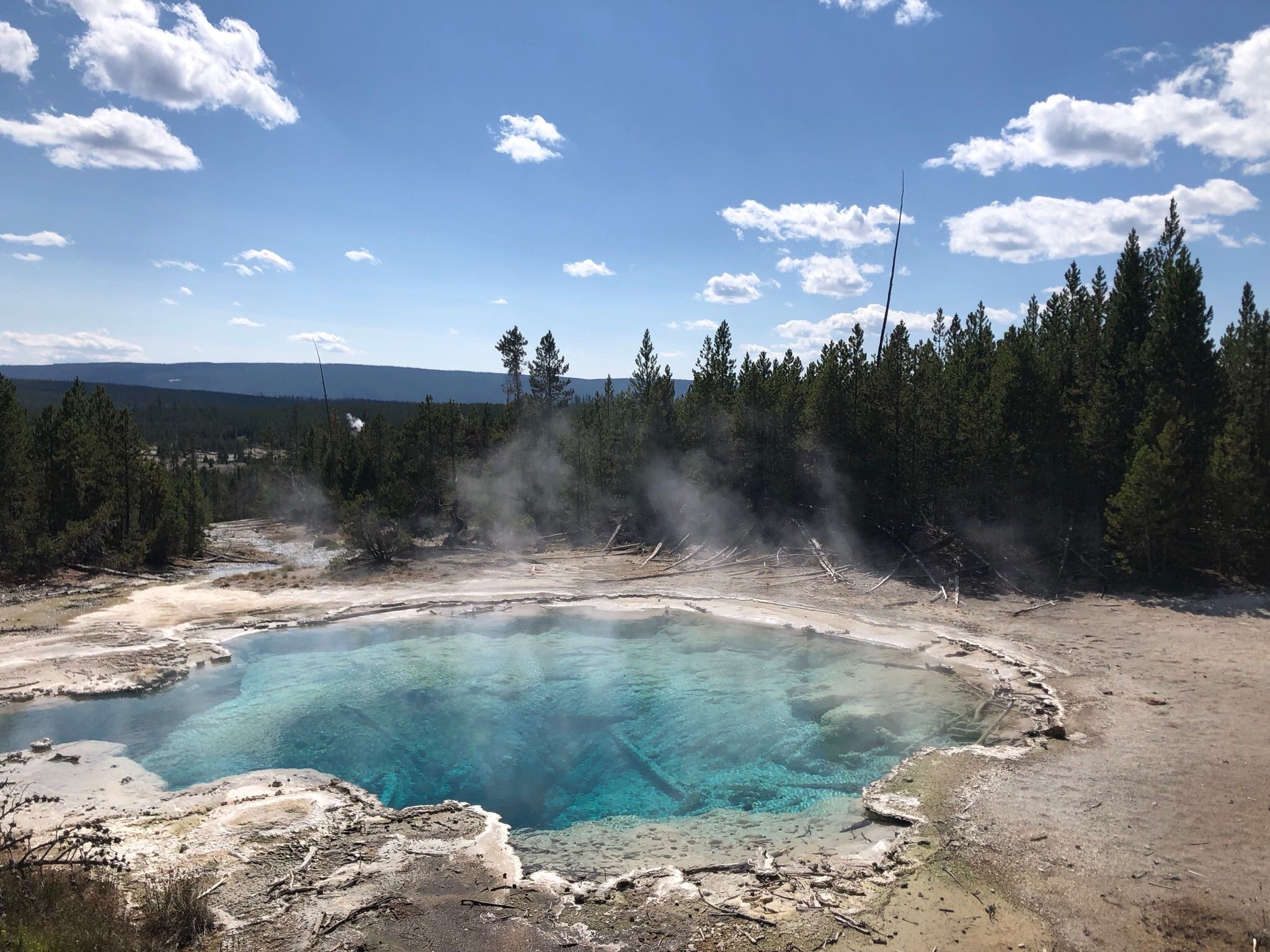 Heisse Quellen im Yellowstone Nationalpark