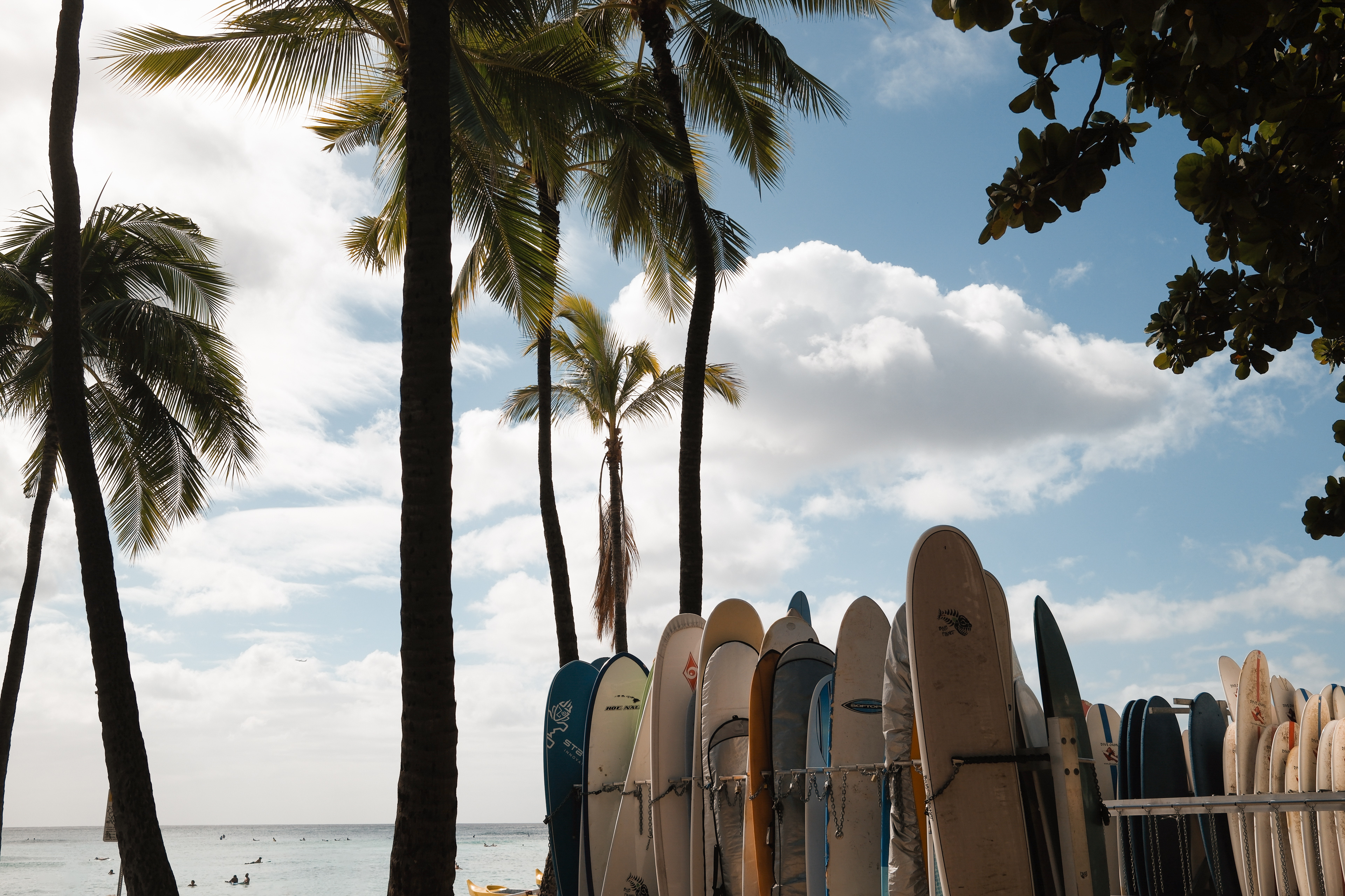 Surfen am Waikiki Beach