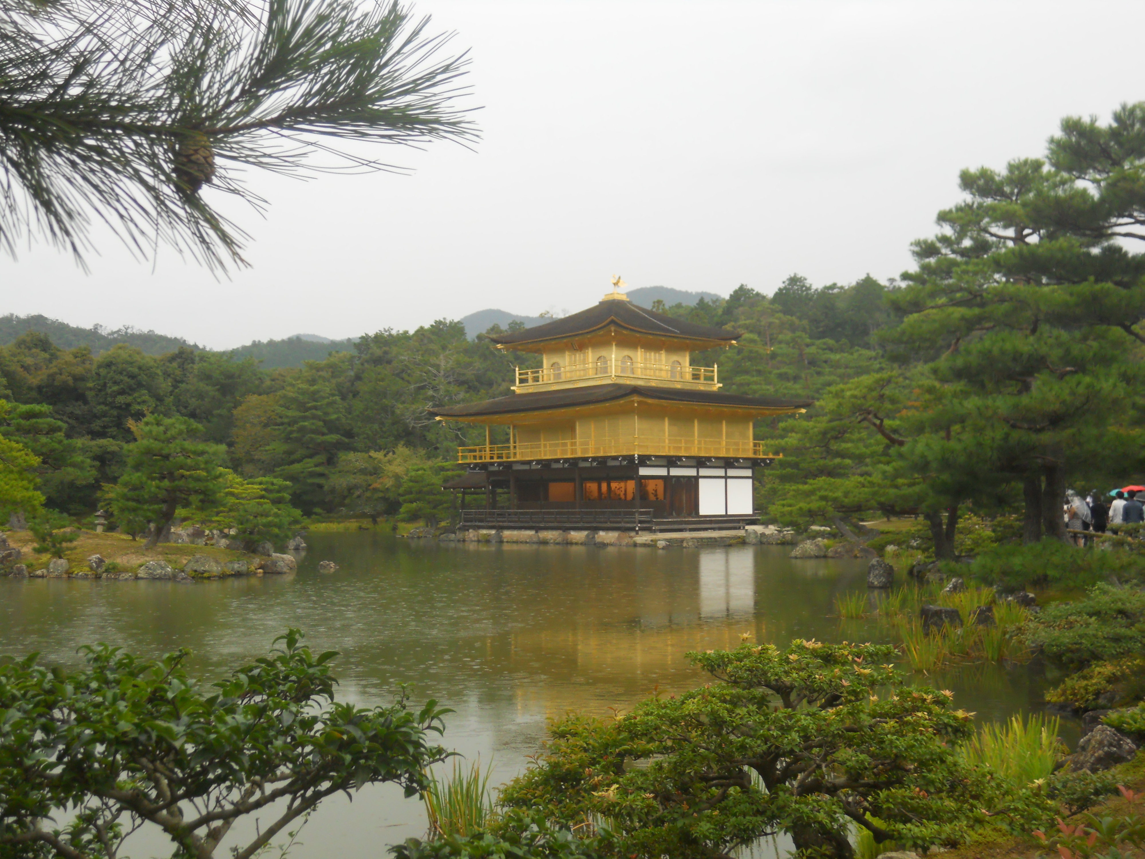 Der Tempel Kinkaku ji in Kyoto