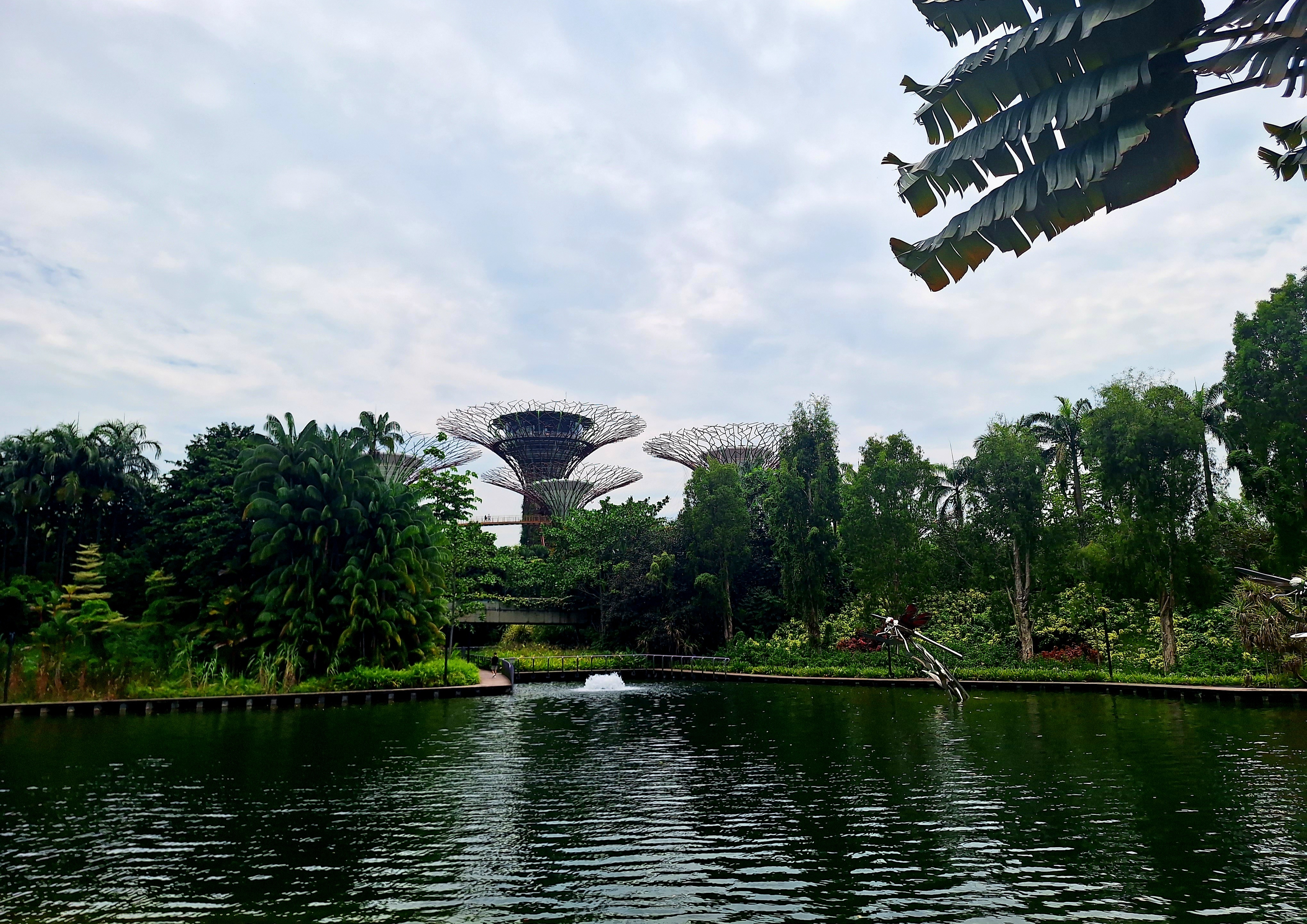 Gardens By the Bay in Singapur