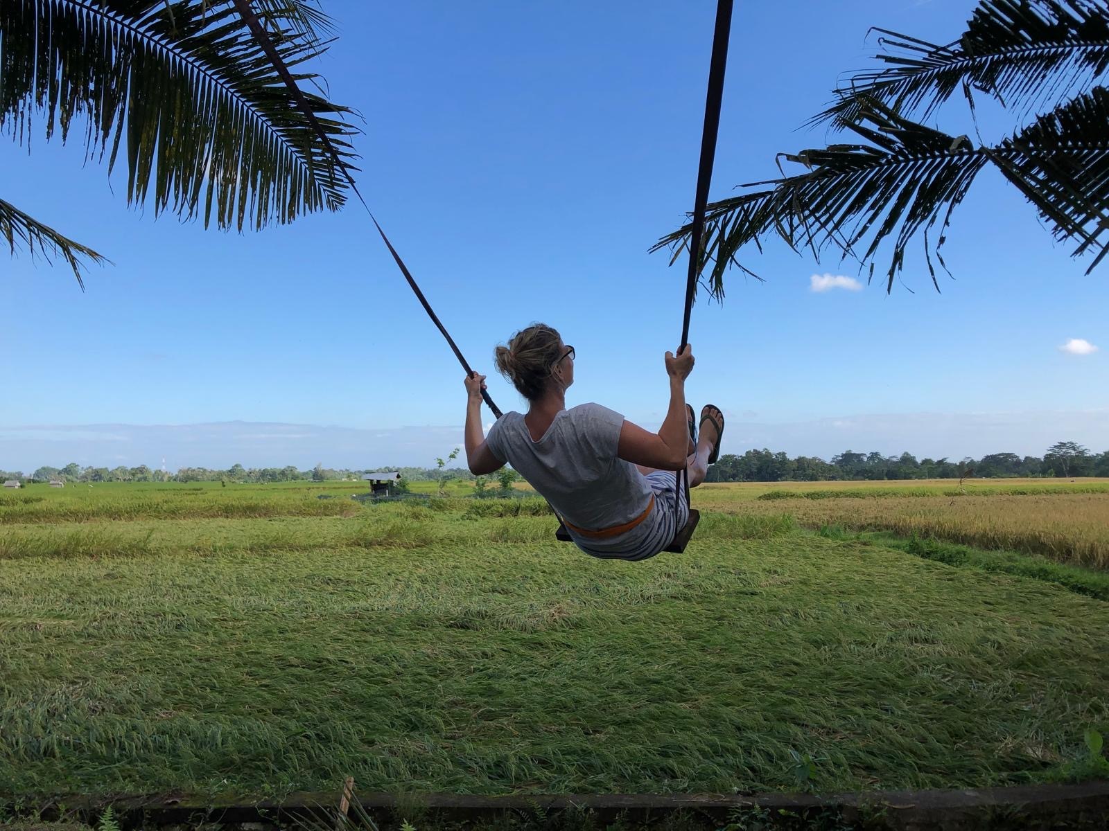 Reisfelder Indonesien