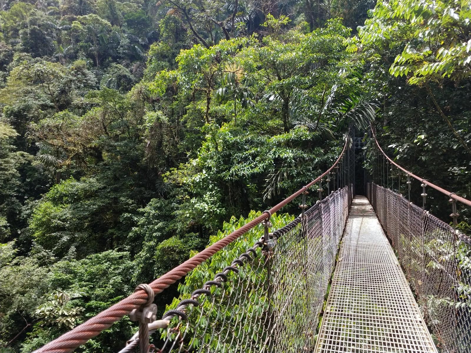 Hängebrücke in Costa Rica