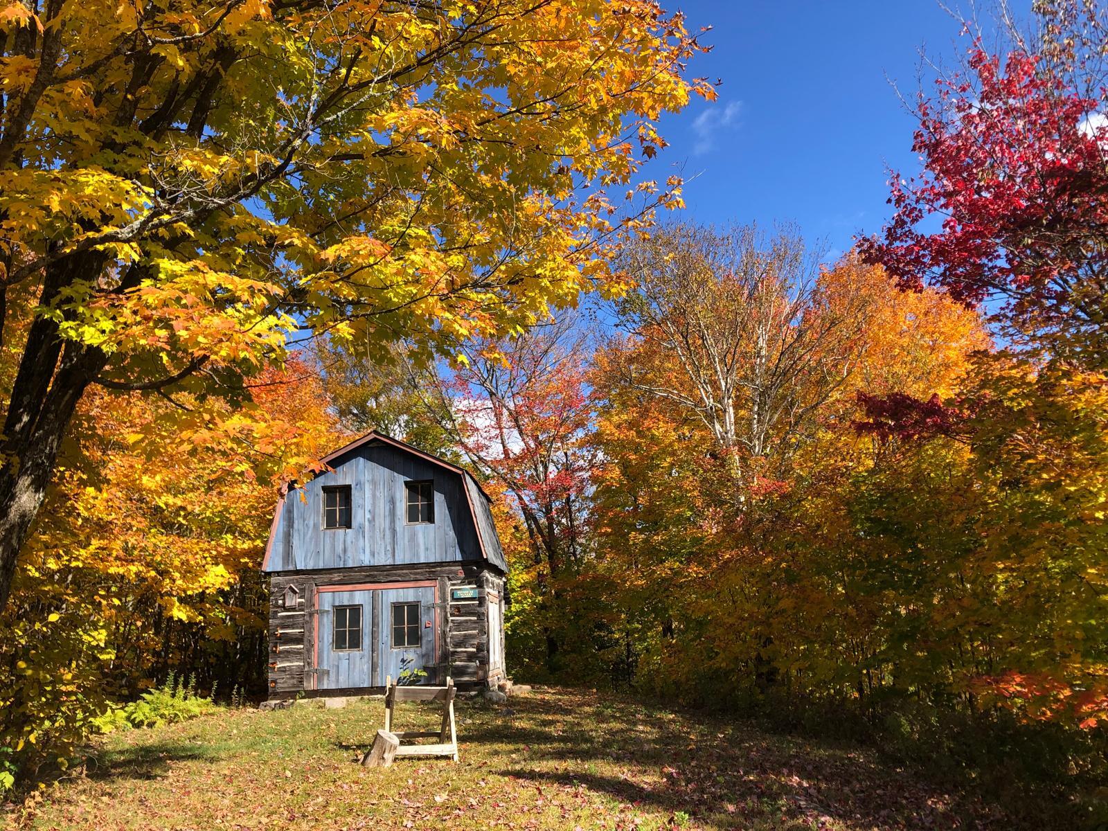 Indian Summer in Kanada