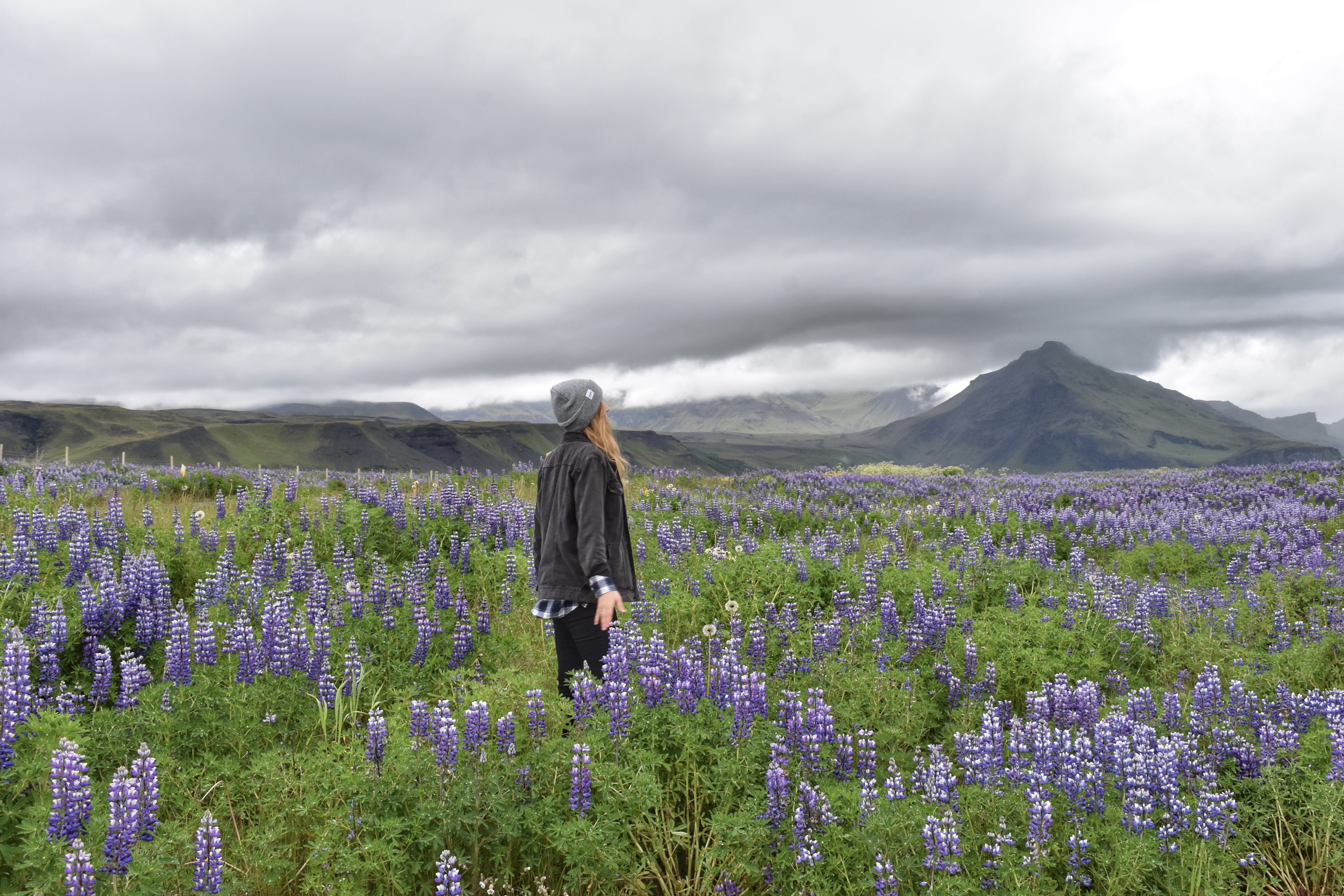 Lupinenfeld Island
