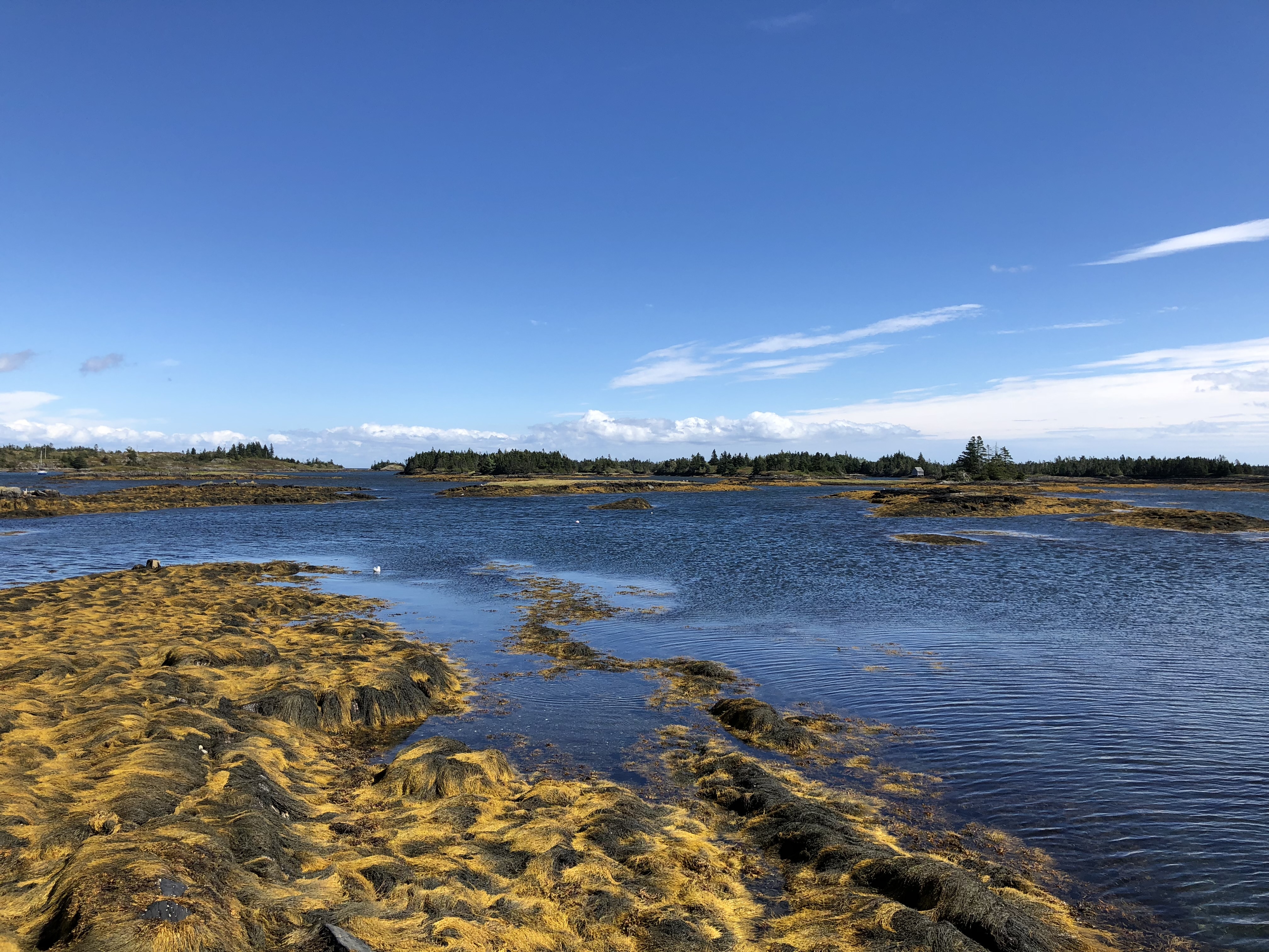 Landschaft in Nova Scotia